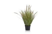 Coco Maison Pennisetum grass plant H99cm 